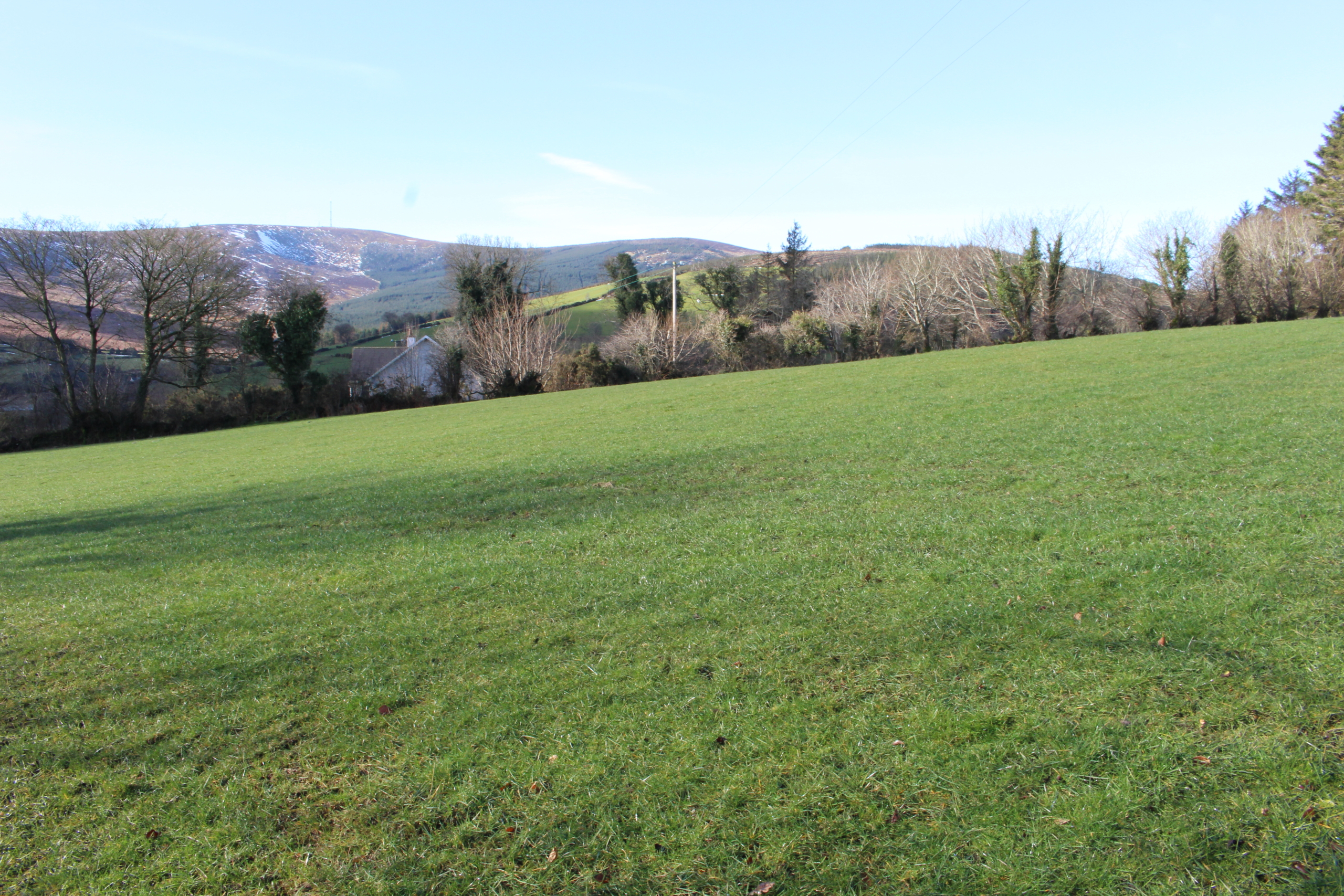 Kilbrannish Site